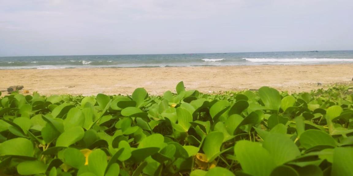 Chan Beach Resort Bahur Eksteriør billede